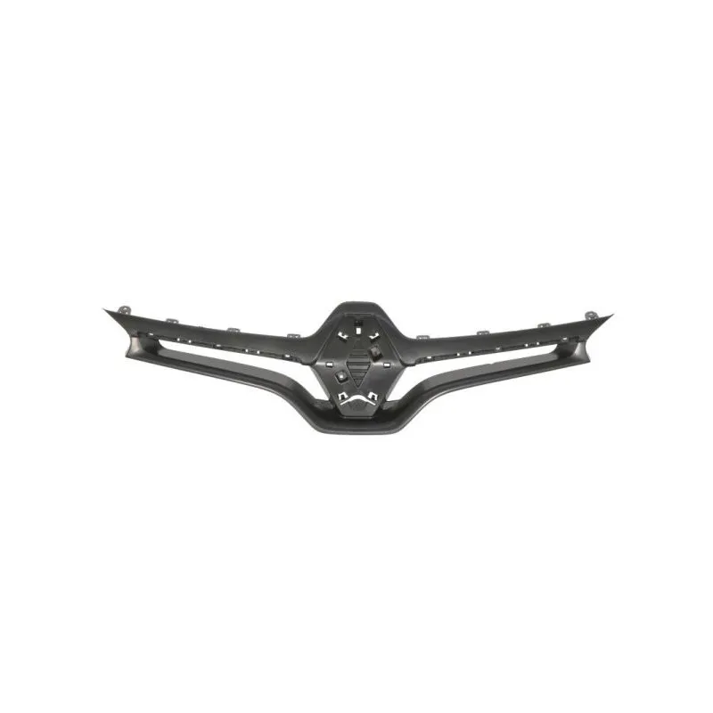 Grille de radiateur BLIC 6502-07-6050993P