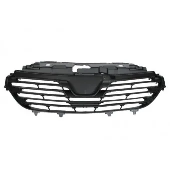 Grille de radiateur BLIC 6502-07-6063990P