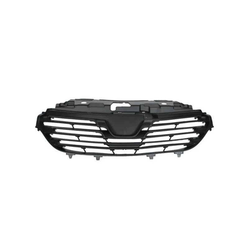 Grille de radiateur BLIC 6502-07-6063990P