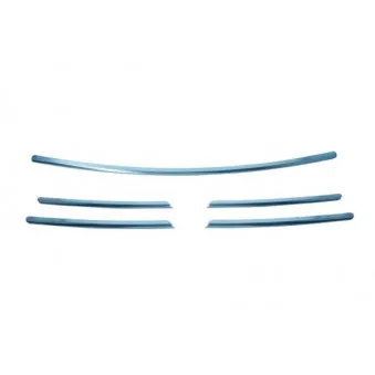 Jeu de baguettes et bandes protectrices, grille de radiateur BLIC 6502-07-6063992P