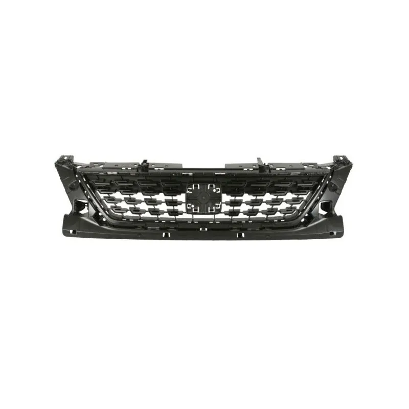 Grille de radiateur BLIC 6502-07-6619990Q