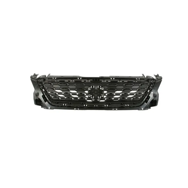 Grille de radiateur BLIC 6502-07-6623990Q