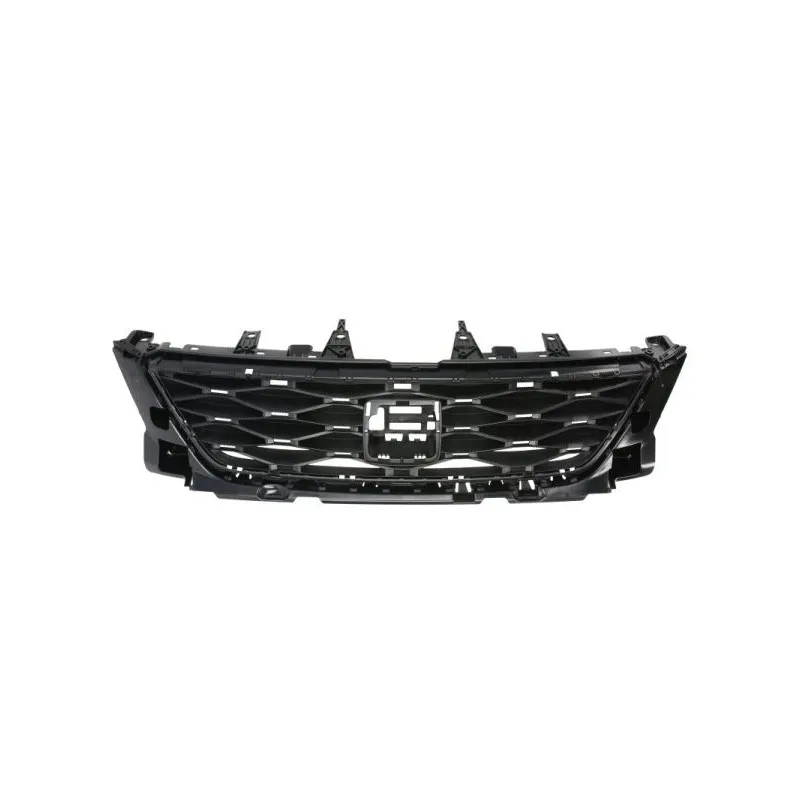 Grille de radiateur BLIC 6502-07-6630990Q