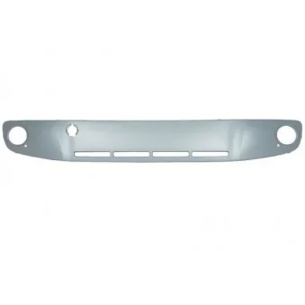 Grille de radiateur BLIC 6502-07-9550996Q