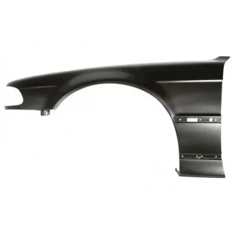 Aile avant gauche BLIC 6504-04-0075311P
