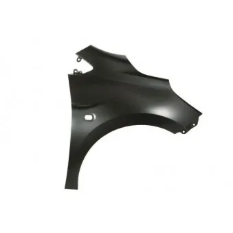 Aile avant droit BLIC