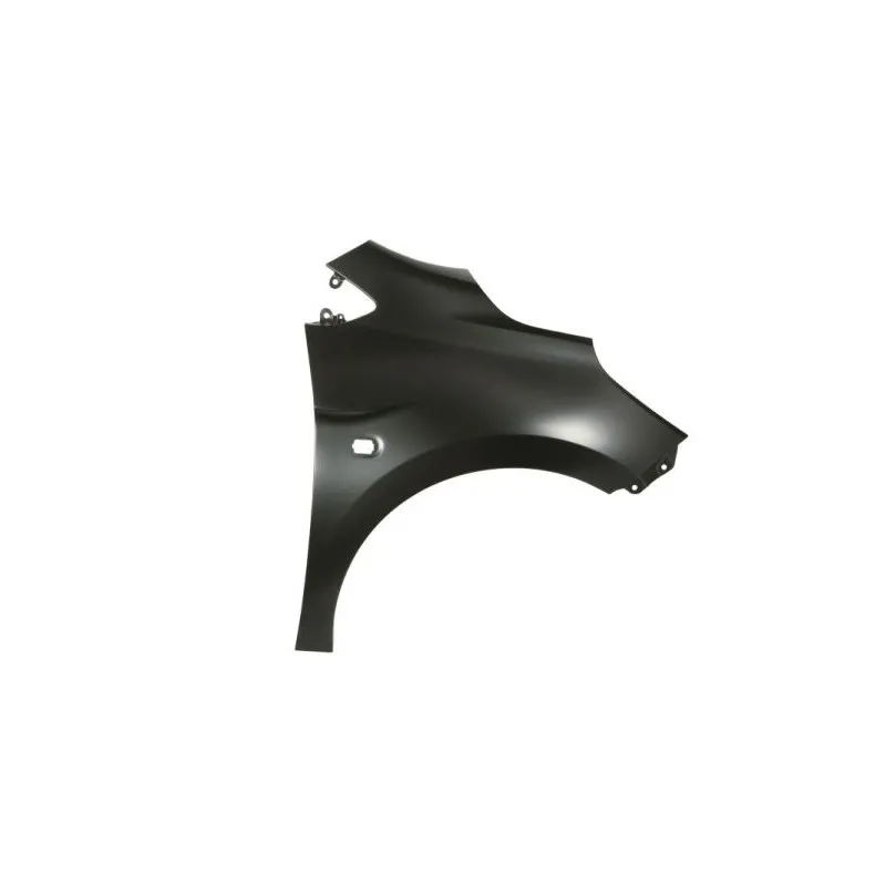 Aile avant droit BLIC 6504-04-5080312P