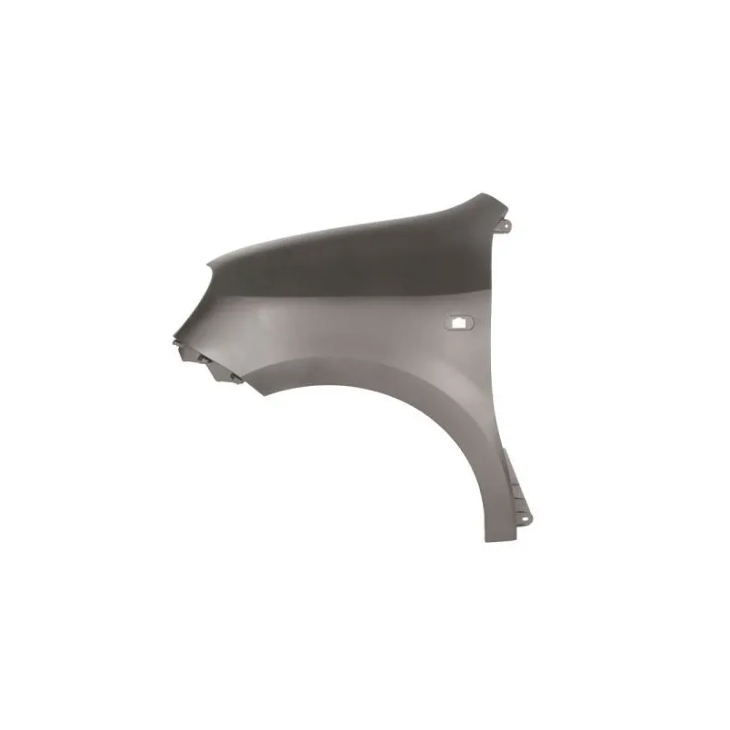 Aile avant gauche BLIC 6504-04-6004311P