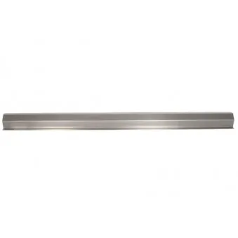 Marche-pied BLIC 6505-06-3530015P