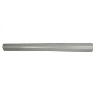 Marche-pied BLIC 6505-06-6431015P