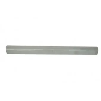 Marche-pied BLIC 6505-06-6431016P