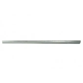 Marche-pied BLIC 6505-06-8109013P