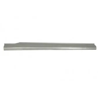 Marche-pied BLIC 6505-06-8117015P