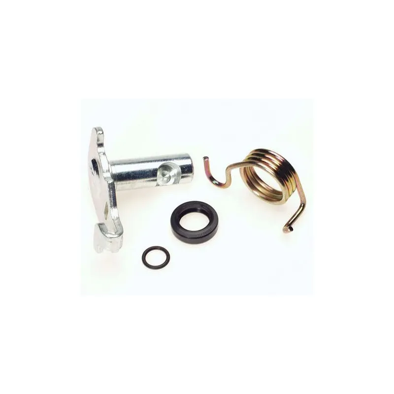 Kit de réparation, levier de frein de stationnement (étrier) BUDWEG CALIPER 209918