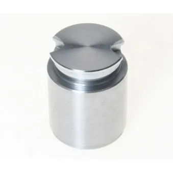 Piston, étrier de frein BUDWEG CALIPER 233631