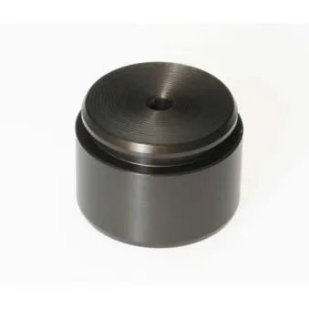 Piston, étrier de frein BUDWEG CALIPER 234420