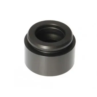 Piston, étrier de frein BUDWEG CALIPER 234429