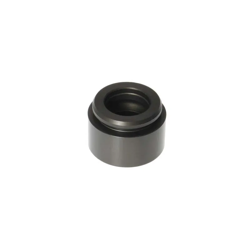 Piston, étrier de frein BUDWEG CALIPER 234429