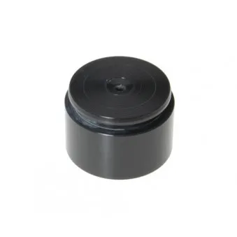 Piston, étrier de frein BUDWEG CALIPER 234613