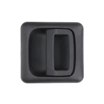 Poignée extérieure de porte arrière gauche BLIC 6010-02-031403P