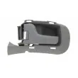 Poignet de porte, équipment intérieur avant gauche BLIC 6010-07-020409P - Visuel 1