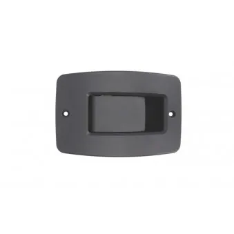 Poignet de porte, équipment intérieur arrière droit BLIC 6010-07-031417WP