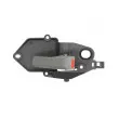 Poignet de porte, équipment intérieur avant droit BLIC 6010-07-033408P - Visuel 1
