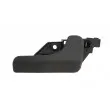 Poignet de porte, équipment intérieur avant gauche BLIC 6010-07-038409P - Visuel 1