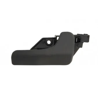 Poignet de porte, équipment intérieur avant gauche BLIC 6010-07-038409P