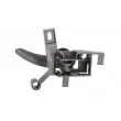 Poignet de porte, équipment intérieur avant gauche BLIC 6010-10-008409P - Visuel 2