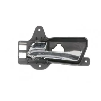 Poignet de porte, équipment intérieur arrière gauche BLIC 6010-20-034409TP