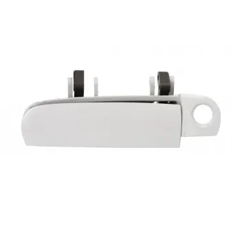 Poignée de porte avant gauche BLIC 6010-25-025401P