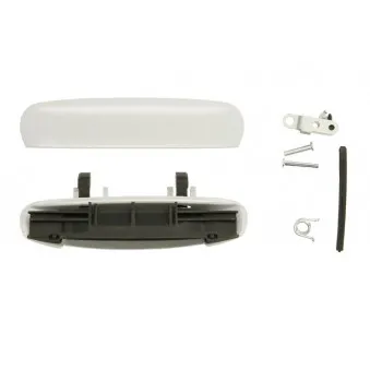 Poignée de porte arrière gauche BLIC 6010-25-025403P