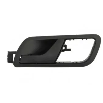 Poignet de porte, équipment intérieur avant gauche BLIC 6010-43-004409P