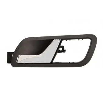 Poignet de porte, équipment intérieur avant gauche BLIC 6010-43-004409PP