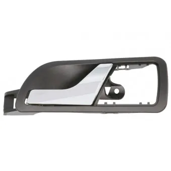 Poignet de porte, équipment intérieur arrière gauche BLIC 6010-43-004409TPP