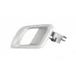 Poignet de porte, équipment intérieur avant gauche BLIC 6010-43-008409PP - Visuel 1