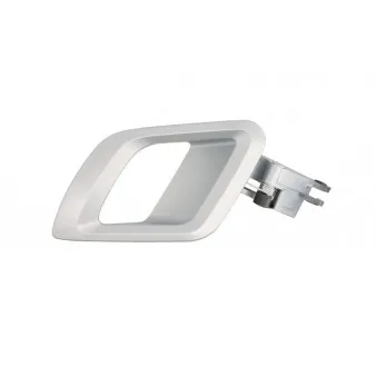 Poignet de porte, équipment intérieur avant gauche BLIC 6010-43-008409PP