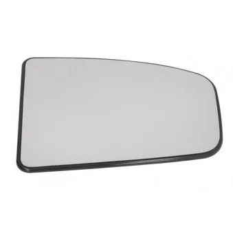Verre de rétroviseur, rétroviseur extérieur BLIC 6102-02-1221242P