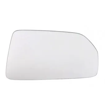 Verre de rétroviseur, rétroviseur extérieur BLIC 6102-02-5301994P