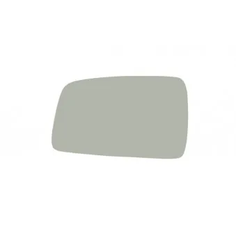 Verre de rétroviseur, rétroviseur extérieur BLIC 6102-02-5304395P
