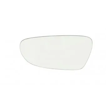 Verre de rétroviseur, rétroviseur extérieur BLIC 6102-02-5304493P