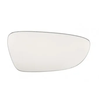 Verre de rétroviseur, rétroviseur extérieur BLIC 6102-02-5304494P