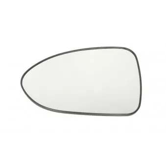 Verre de rétroviseur, rétroviseur extérieur BLIC 6102-53-2001557P