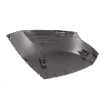 Boitier, rétroviseur extérieur BLIC 6103-09-2002182P