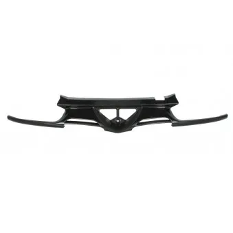 Grille de radiateur BLIC 6502-07-0002991P