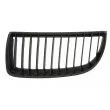 Grille de radiateur avant gauche BLIC 6502-07-0062991GP - Visuel 1