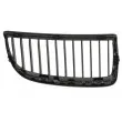 Grille de radiateur avant gauche BLIC 6502-07-0062991GP - Visuel 2