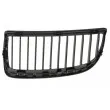 Grille de radiateur avant droit BLIC 6502-07-0062992GP - Visuel 2