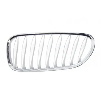Grille de radiateur avant gauche BLIC